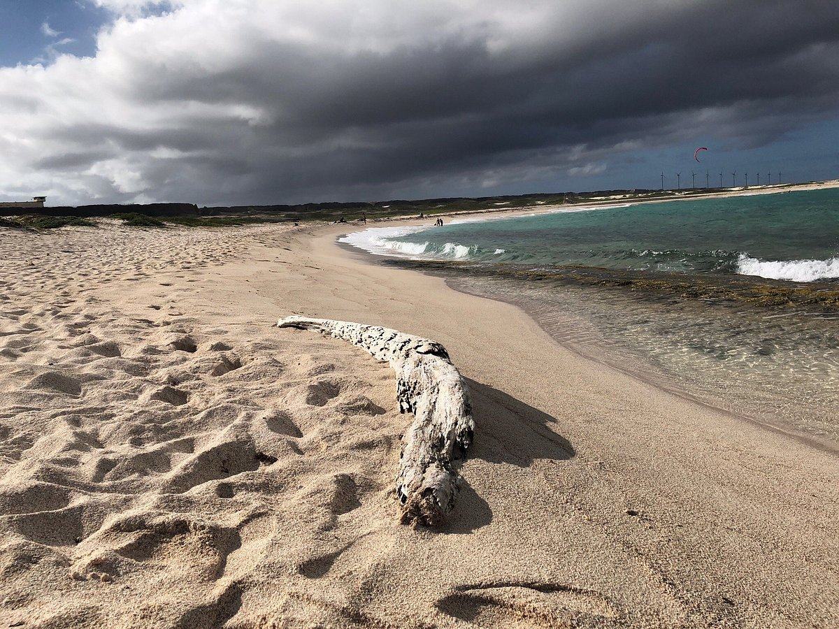 Пляж Грапефилд (Grapefield Beach) — Аруба