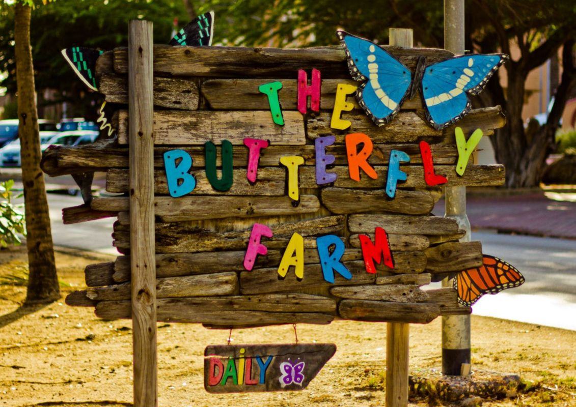 Ферма метеликів (The Butterfly Farm) – Аруба