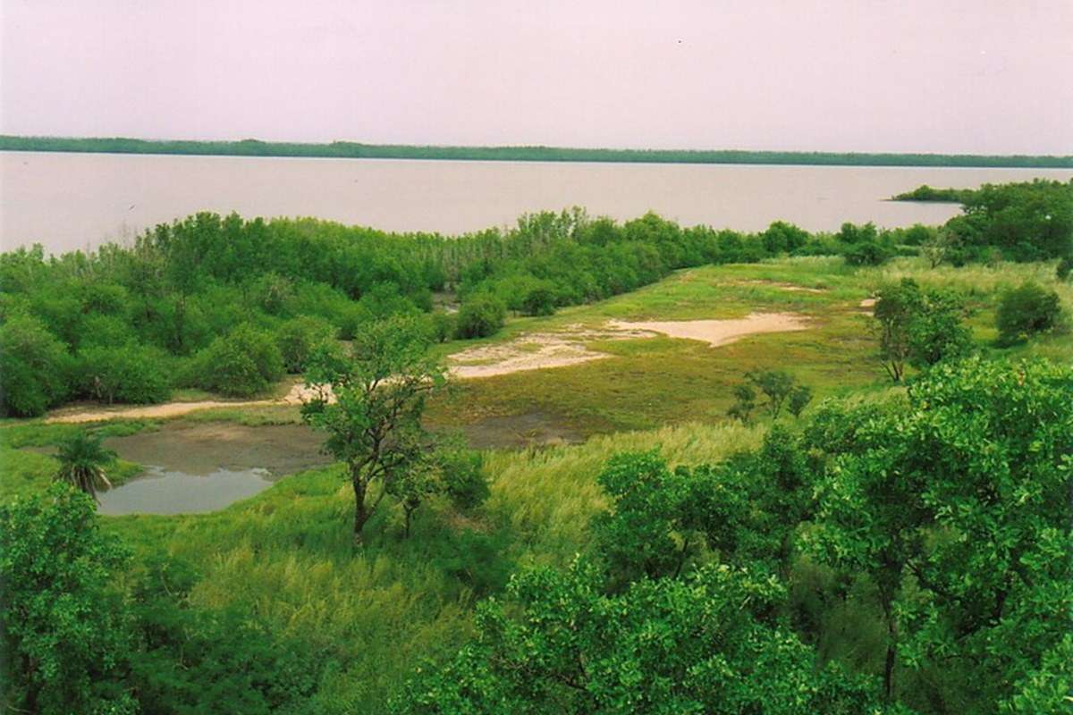 Національний парк Кіанг-Вест — Гамбія