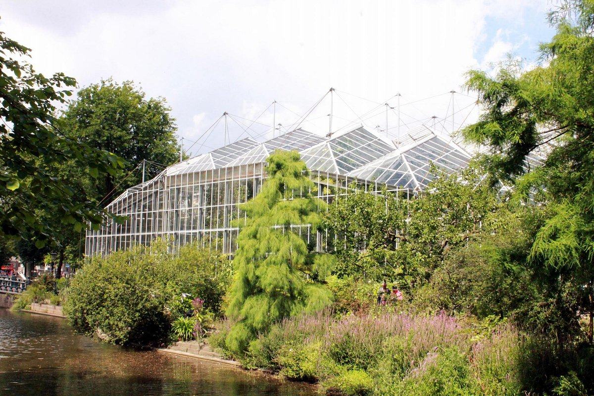 Ботанический сад (Hortus Botanicus) — Амстердам