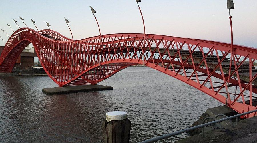 Питон (Python Bridge) — Амстердам