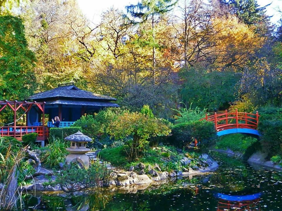 Ботанический сад Клуж-Напока — Румыния