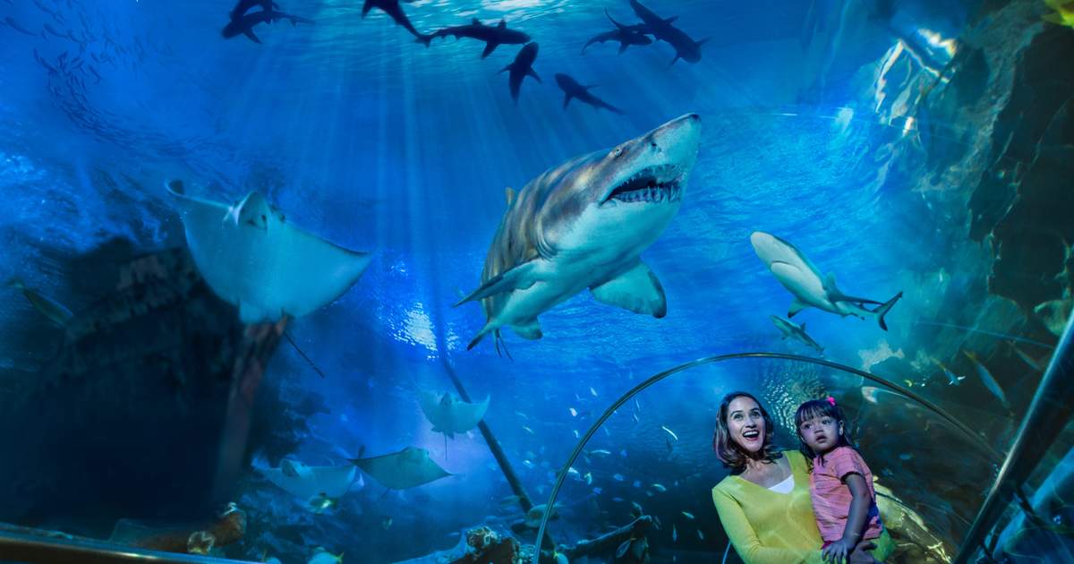 Океанариум Aquaria KLCC — Куала-Лумпур