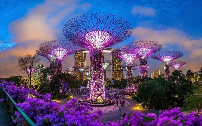 Сади біля затоки (Gardens by the Bay) – Сінгапур