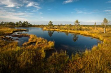 Національний парк Соомаа (південний захід від Естонії)